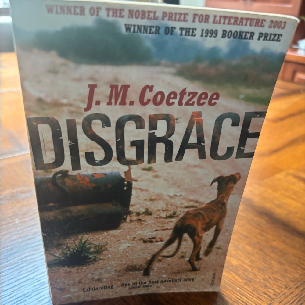 J.M. Coetzee 'Disgrace' Book -vintage paperback excellent condition